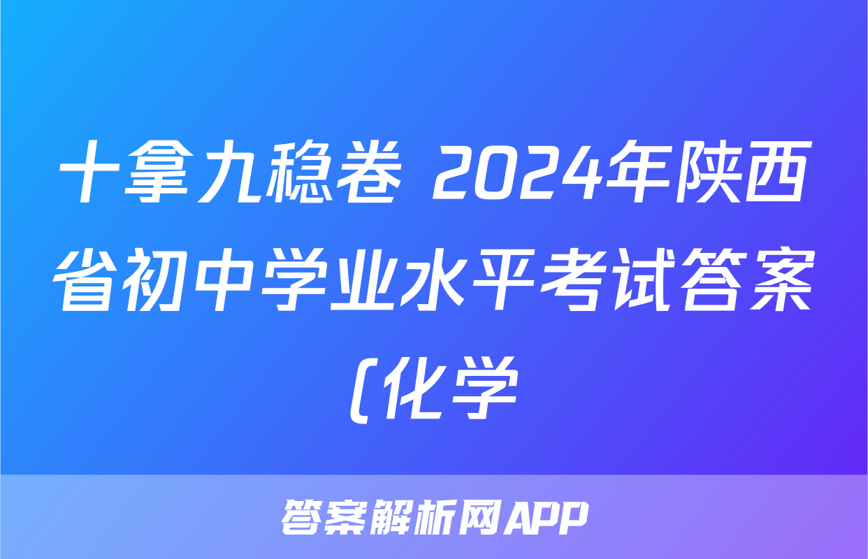 十拿九稳卷 2024年陕西省初中学业水平考试答案(化学)